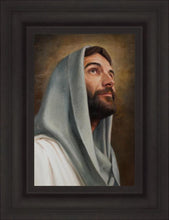 Load image into Gallery viewer, Looking Up
