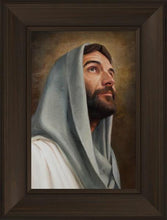 Load image into Gallery viewer, Looking Up
