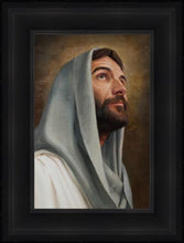Load image into Gallery viewer, Looking Up
