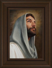 Load image into Gallery viewer, Looking Up
