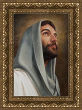 Load image into Gallery viewer, Looking Up
