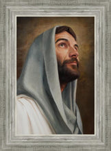 Load image into Gallery viewer, Looking Up
