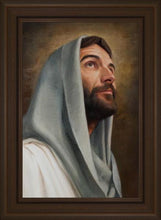 Load image into Gallery viewer, Looking Up
