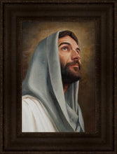 Load image into Gallery viewer, Looking Up
