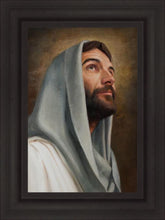 Load image into Gallery viewer, Looking Up
