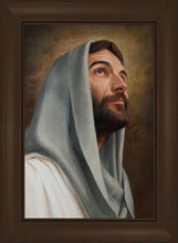 Load image into Gallery viewer, Looking Up
