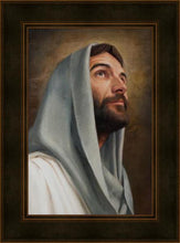 Load image into Gallery viewer, Looking Up
