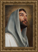 Load image into Gallery viewer, Looking Up
