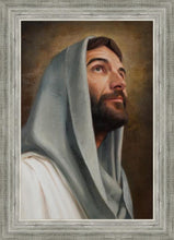 Load image into Gallery viewer, Looking Up
