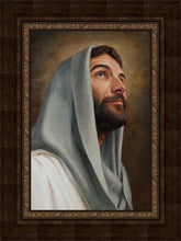Load image into Gallery viewer, Looking Up
