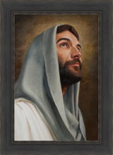 Load image into Gallery viewer, Looking Up
