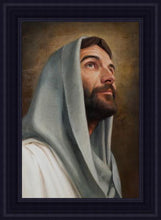 Load image into Gallery viewer, Looking Up
