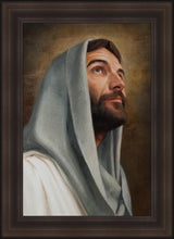 Load image into Gallery viewer, Looking Up

