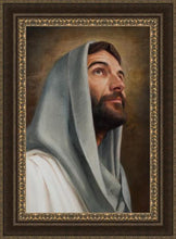 Load image into Gallery viewer, Looking Up
