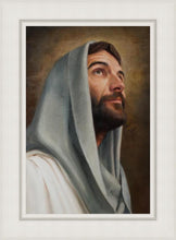 Load image into Gallery viewer, Looking Up
