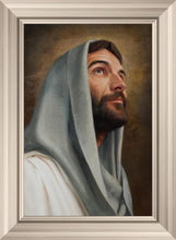 Load image into Gallery viewer, Looking Up
