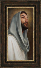 Load image into Gallery viewer, Looking Up
