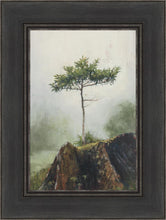 Load image into Gallery viewer, Room to Grow
