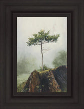 Load image into Gallery viewer, Room to Grow
