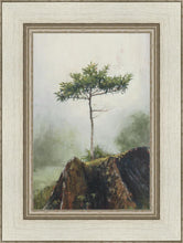 Load image into Gallery viewer, Room to Grow
