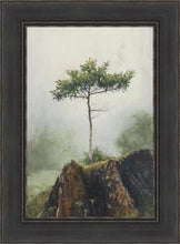 Load image into Gallery viewer, Room to Grow
