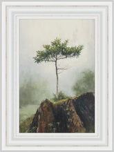 Load image into Gallery viewer, Room to Grow
