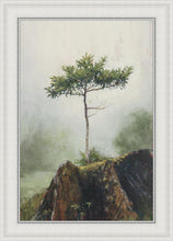Load image into Gallery viewer, Room to Grow

