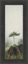 Load image into Gallery viewer, Room to Grow
