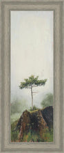Load image into Gallery viewer, Room to Grow
