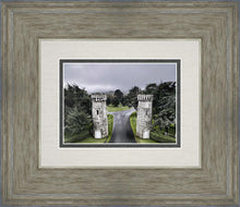 Load image into Gallery viewer, Two Rooks
