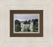 Load image into Gallery viewer, Two Rooks
