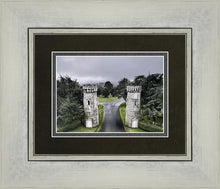 Load image into Gallery viewer, Two Rooks
