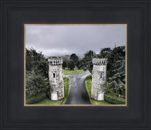 Load image into Gallery viewer, Two Rooks
