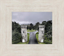Load image into Gallery viewer, Two Rooks

