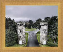 Load image into Gallery viewer, Two Rooks
