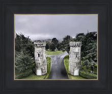 Load image into Gallery viewer, Two Rooks
