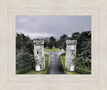Load image into Gallery viewer, Two Rooks
