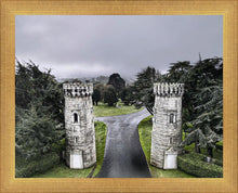 Load image into Gallery viewer, Two Rooks
