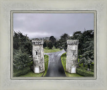 Load image into Gallery viewer, Two Rooks
