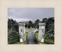Load image into Gallery viewer, Two Rooks
