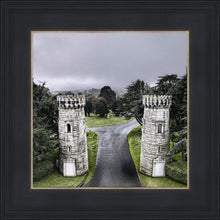 Load image into Gallery viewer, Two Rooks

