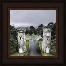 Load image into Gallery viewer, Two Rooks
