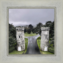 Load image into Gallery viewer, Two Rooks
