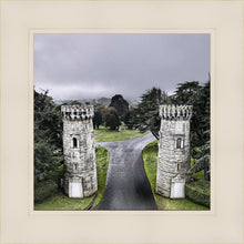 Load image into Gallery viewer, Two Rooks
