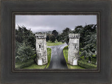 Load image into Gallery viewer, Two Rooks
