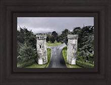 Load image into Gallery viewer, Two Rooks
