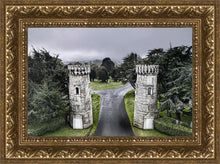 Load image into Gallery viewer, Two Rooks
