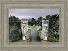 Load image into Gallery viewer, Two Rooks
