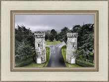 Load image into Gallery viewer, Two Rooks
