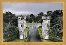 Load image into Gallery viewer, Two Rooks
